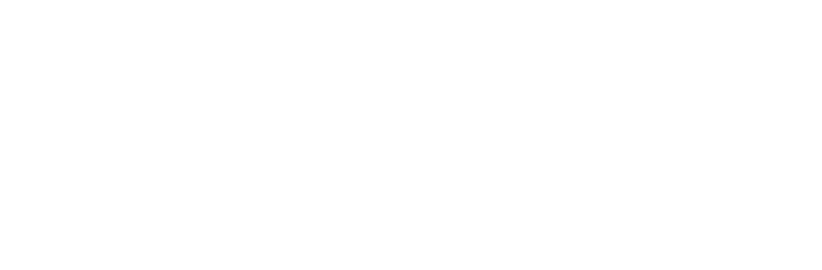 Logo IFSBM white